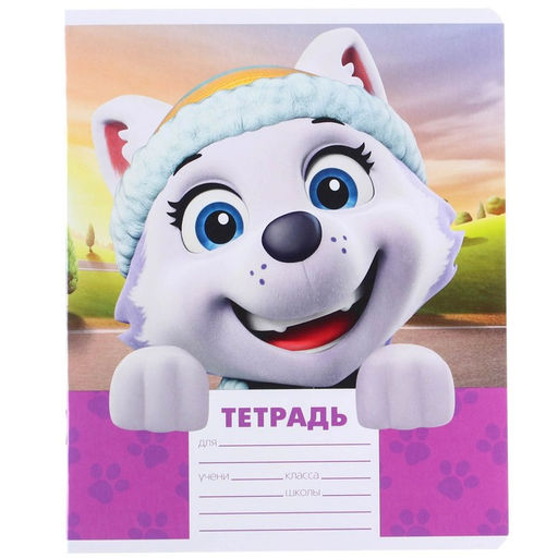 Цена за 10 шт. Тетрадь 12 листов в линейку, 5 видов МИКС, обложка мелованный картон, Щенячий патруль - Simaland фото 6