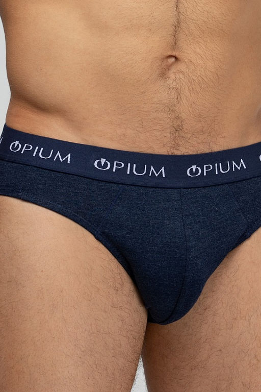 Мужские трусы R-14T Blue-Melange