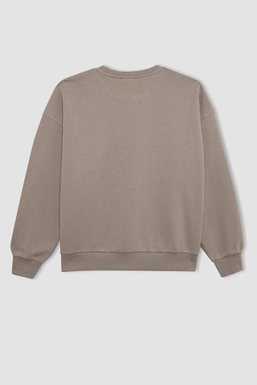 Толстовка из плотной ткани свободного кроя с круглым вырезом и принтом - Defacto фото 9