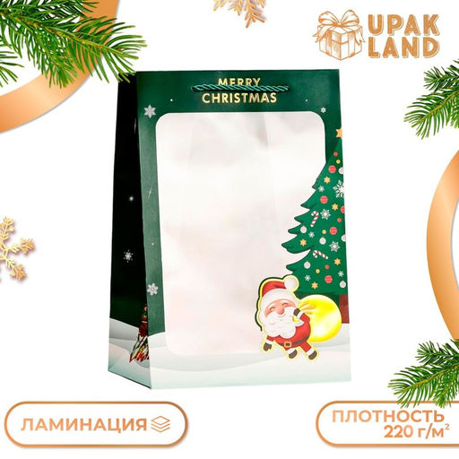 Цена за 10 шт. Пакет подарочный новогодний ламинированный, с окном Новогодний, 20?30?16 см