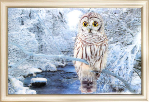 Картина 5D 40х60 162 / ZR8845B-H39H23 / - Галеонтрейд фото 2