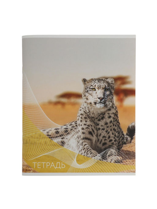 Набор тетрадей, 96 листов в линейку, Calligrata «Дикие кошки», серые листы, 4 штуки
