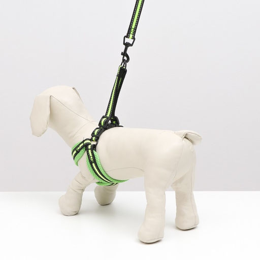 Комплект амуниции светоотражающий с мягкими шлейкой и ручкой, поводок 120 х 1,5 см, ОШ 35-53 см, жёл - Пижон фото 9