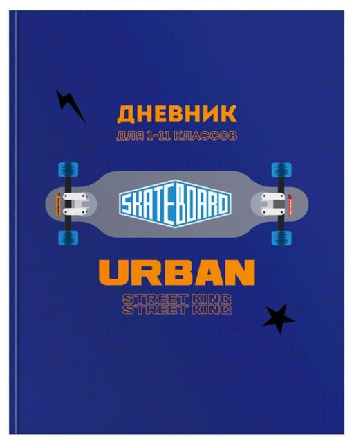 Дневник универсальный СКЕЙТБОРД мат. лам., выб.