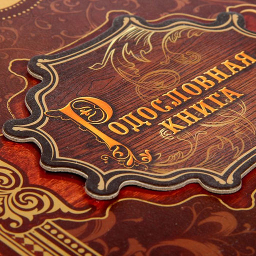 Родословная книга История семьи, 27 листов, 24.5 х 29.2 см - Семейные традиции фото 3