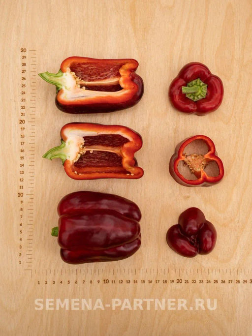 Перец сладкий Текила - Партнер фото 6