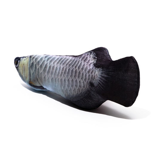 Игрушка Рыба моей мечты! с кошачьей мятой, арапайма, 20 см - Пижон фото 3