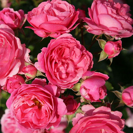 R328 МОИН МОИН