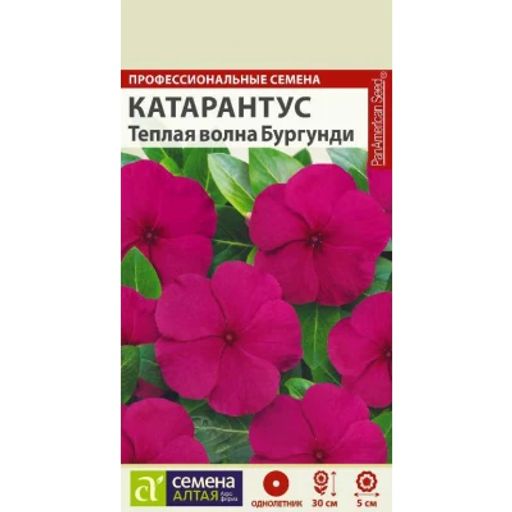 Катарантус Теплая волна Бургунди/Сем Алт/цп 7 шт. НОВИНКА