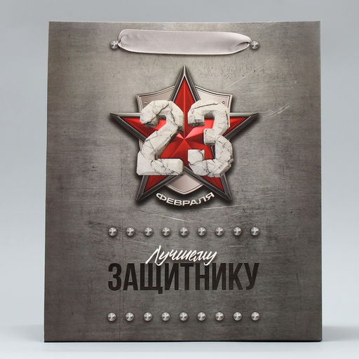 Цена за 2 шт. Пакет подарочный ламинированный, упаковка, С 23 февраля, MS 18?23?10 см