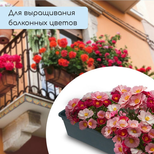 Цена за 2 шт. Ящик для рассады, 50×15×10 см, 5 л, пластик, чёрный, «Урожай-5»