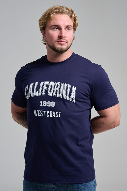 Футболка мужская 8503/1