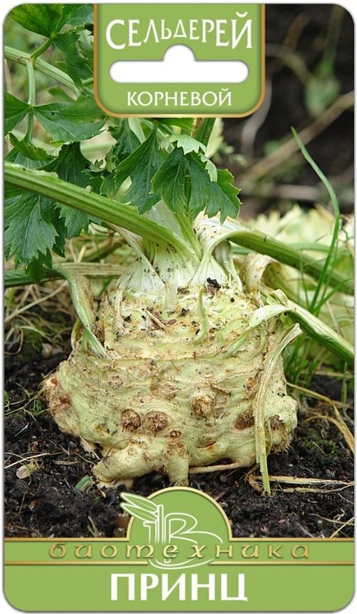 Сельдерей корневой Принц