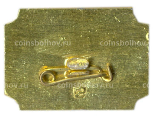 ЗначокСанкт-Петербург  дворец А.Д. Меншикова