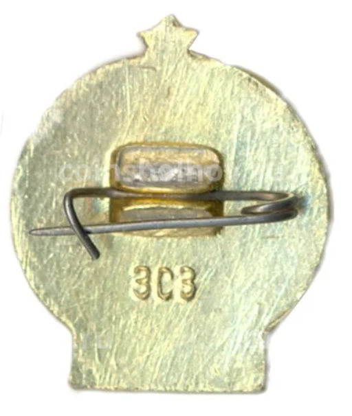 Значок Турист СССР