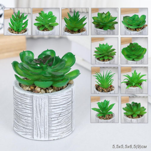 Цветочная композиция Кактус / WER-22 /уп 12/192/ микс - Галеонтрейд фото 26