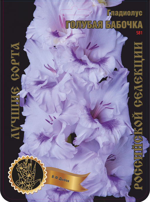 Гладиолус Голубая Бабочка 581,Дыбов Экстра 7шт (Ф)