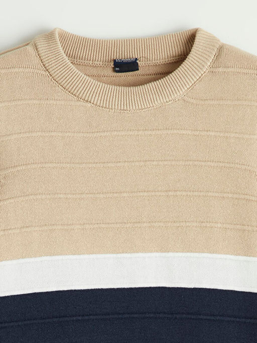 Bisiklet Yaka Renk Bloklu Erkek ?ocuk Kazak