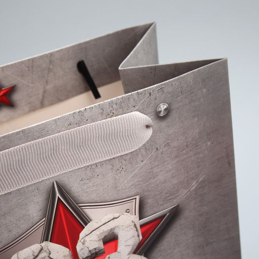 Цена за 2 шт. Пакет подарочный ламинированный, упаковка, С 23 февраля, ML 23?27?11.5 см