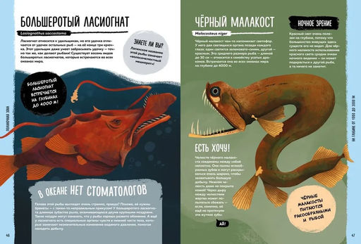 Мир вокруг тебя. Тайны мирового океана. Фланнери Т. - Махаон фото 6