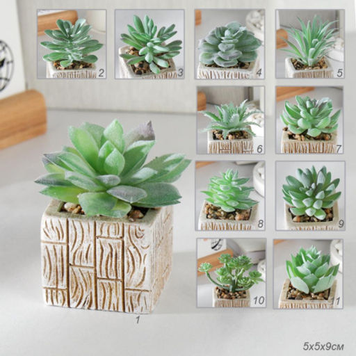 Цветочная композиция Кактус / WER-15 /уп 12/288/ микс