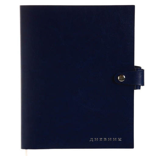 Дневник школьный для 1-11 классов Favorite, мягкая обложка, на кнопке, искусственная кожа, тиснение фольгой, хлястик, ляссе, 48 листов