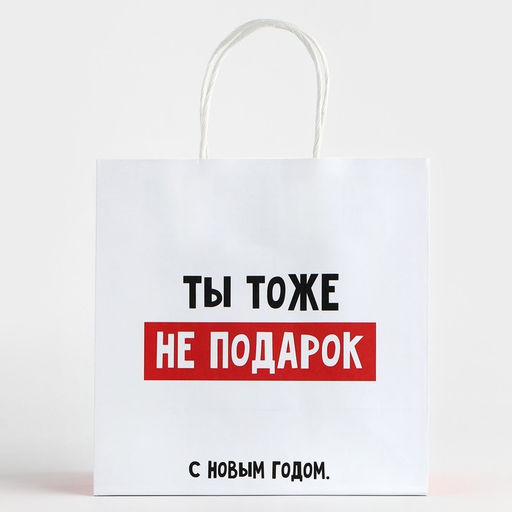 Пакет подарочный новогодний «Ты тоже не подарок», 22×22×11 см