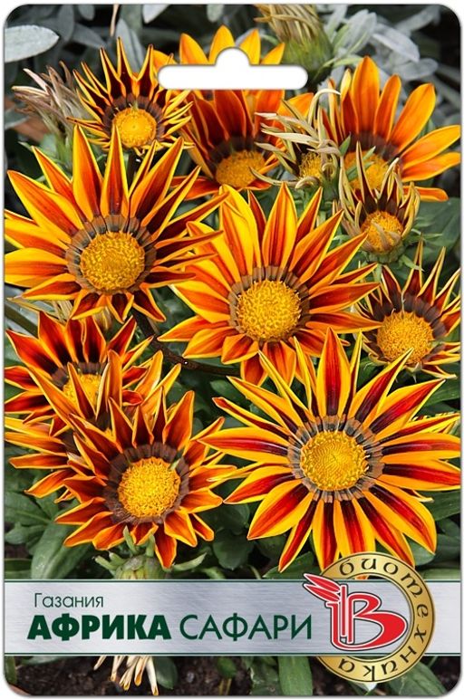 Газания Африка Фламинго - Биотехника фото 5