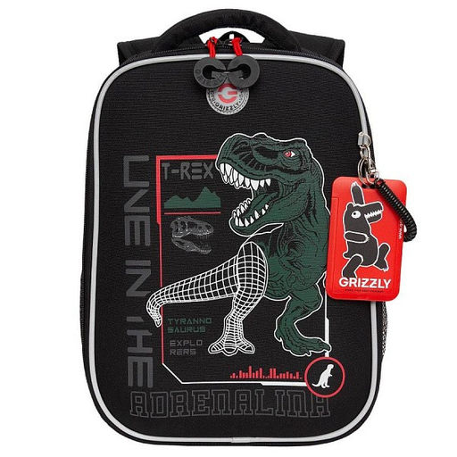 RAw-497-10 Рюкзак школьный - Grizzly фото 24