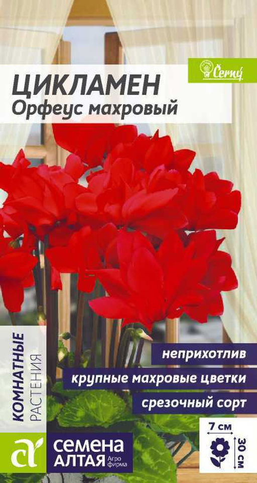 Цветы Цикламен Орфеус махровый/Сем Алт/цп 3 шт.