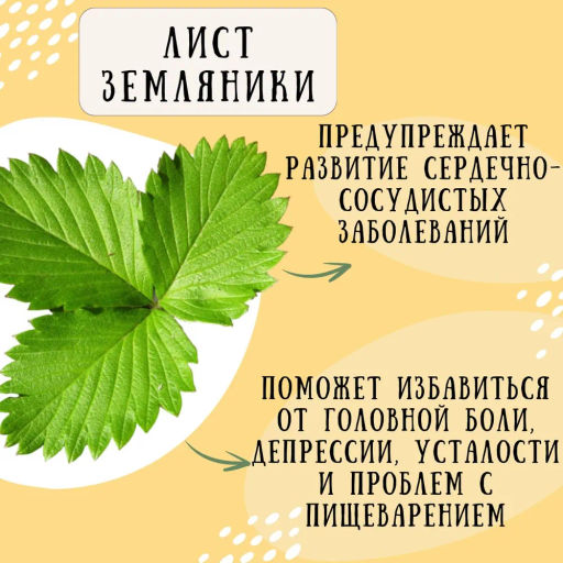 Камлёвъ Черный чай с ягодами облепихи "Облепиховый", 48 г (16 саше)
