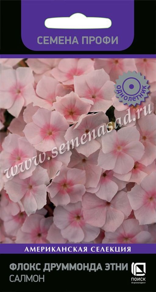 Флокс друммонда Этни Салмон (Семена Профи) (ЦВ ) ("1) 10шт