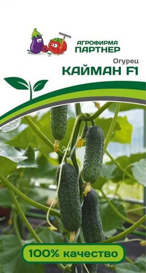 3084P Огурец КАЙМАН F1 10шт