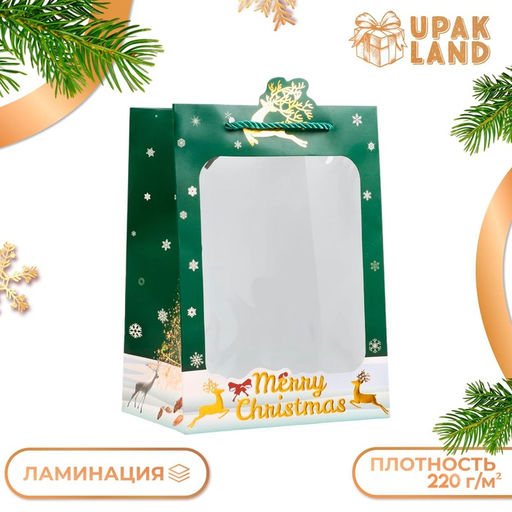 Цена за 2 шт. Пакет подарочный ламинированный с окном «Новый Год», тиснение, 18×25×13 см, зеленый