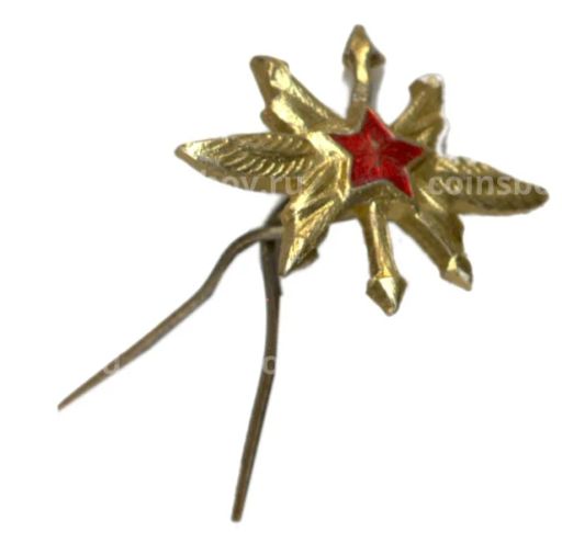 Значок Эмблема Военно воздушные силы техник