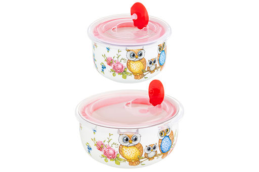 Набор 2 салатников - 13*13*6,5 см 560 мл+10,5*10,5*6 см 260 мл Совушки с плас.крыш. NEW BONE CHINA - Elan gallery фото 8