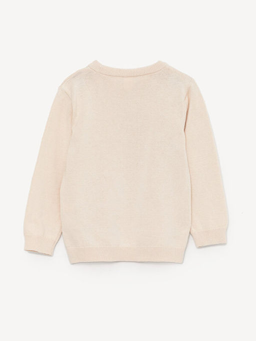 Bisiklet Yaka Uzun Kollu Erkek Bebek Triko Kazak - Waikiki фото 3