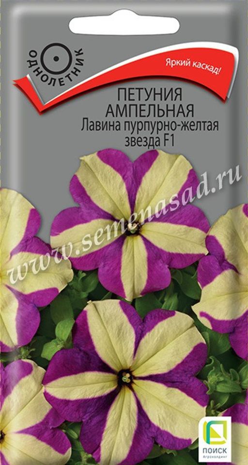 петуния ампельная лавина пурпурно-желтая звезда. петуния лавина пурпурная звезда f1. петуния лавина пурпурная-желтая звезда. лавина пурпурно желтая. петуния лавина пурп.