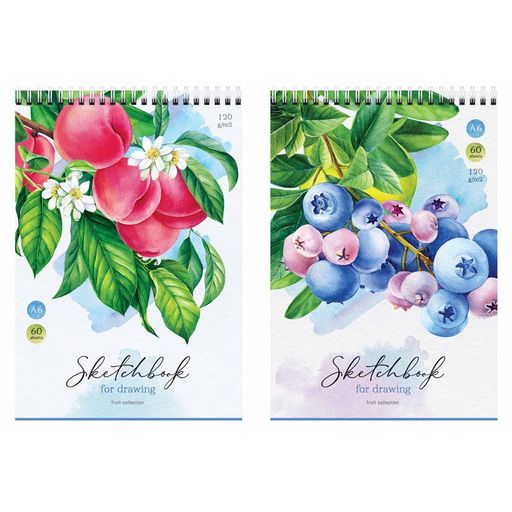 Скетчбук А6 60л. 120г/м, на гребне, карт.обл. "Fruit Collection" (С60грг_47667, ArtSpace)