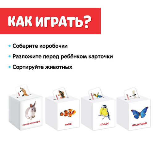 Сортер-копилка Животные по методике Г. Домана - Iq-zabiaka фото 2