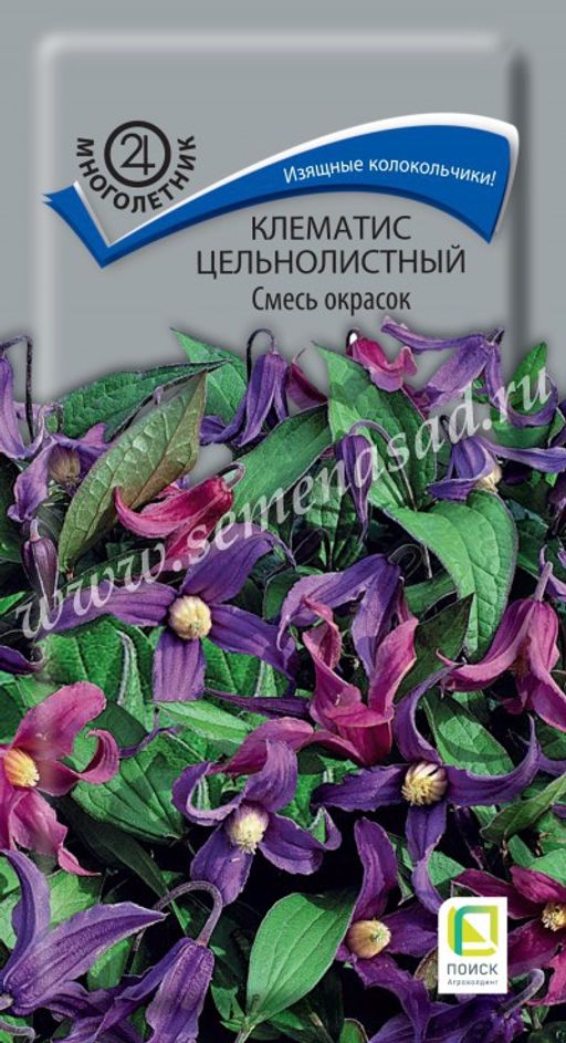 Клематис цельнолистный Смесь окрасок (ЦВ) ("М) 0,1гр