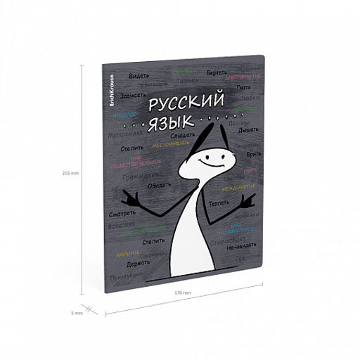 Цена за 5 шт. Тетрадь общая ученическая с пластиковой обложкой на скобе ErichKrause Чубрик, Русский язык, 48 листов, линейка  фото 4