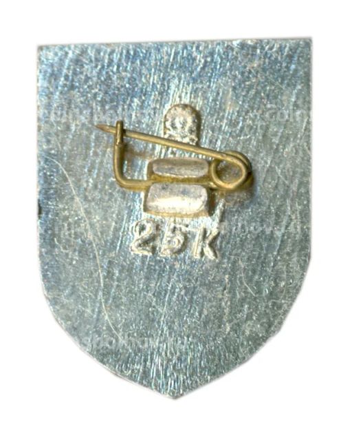 Значок Усолье-сибирское