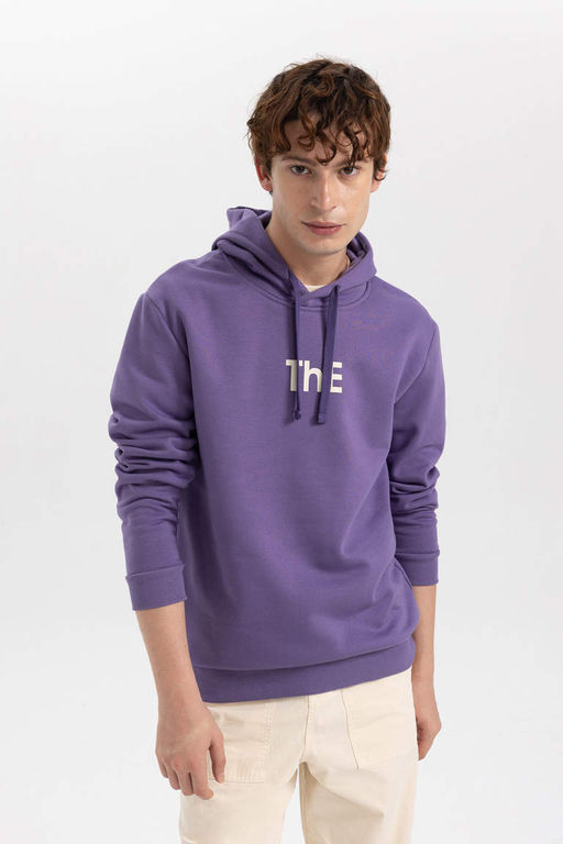 Толстовка обычного кроя с капюшоном и принтом - Defacto фото 3