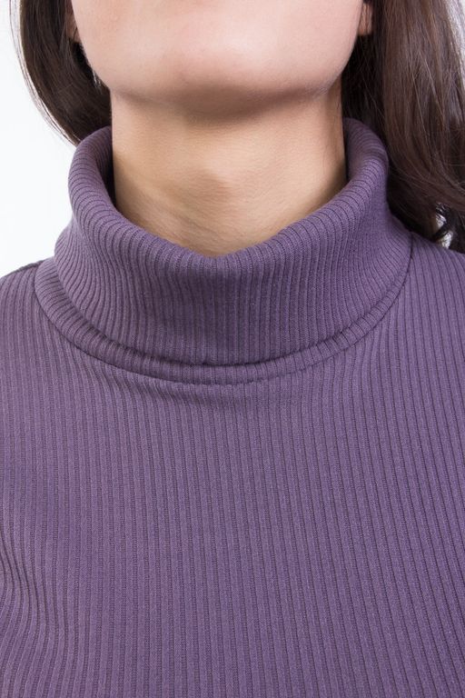 Водолазка В5-2490/6 - Wisell фото 8