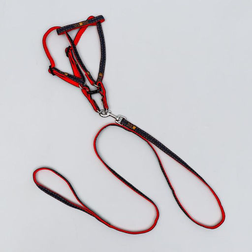 Комплект Джинс, поводок 120 х 1 см, ОГ 25-40 см, красный - Пижон фото 4