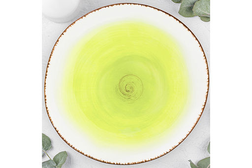 Тарелка обеденная Elan Gallery Кантри фарфор зеленая 26.5×26.5×2.5 см  фото 12