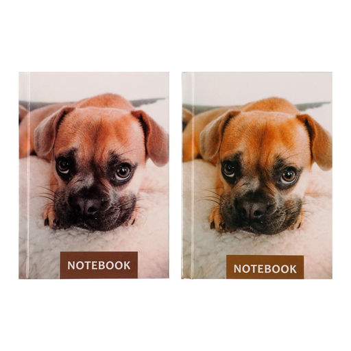 Блокнот А6, 64 листа в клетку Лучший друг, твёрдая обложка, блок офсет - Calligrata фото 4