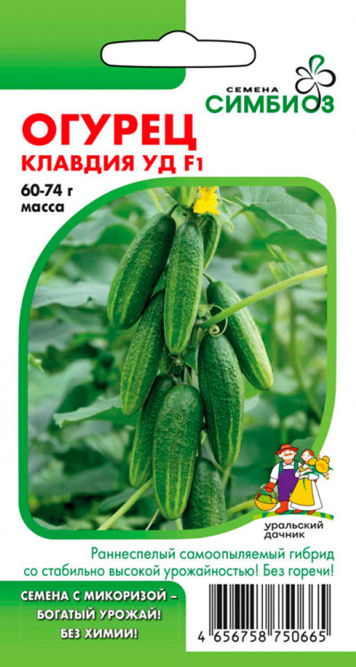Огурец КЛАВДИЯ УД F1 - Уральский дачник фото 4