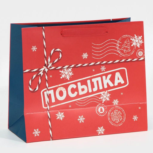 Пакет подарочный новогодний ламинированный «Посылка для тебя», MS 18 х 23 х 10 см